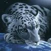 photo-avatar